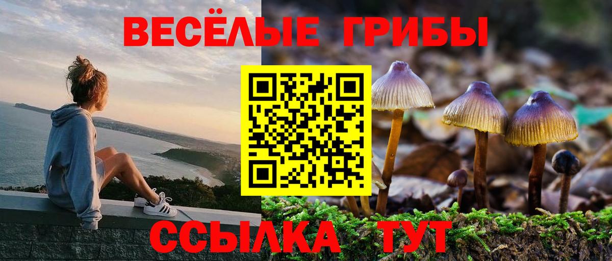 Псилоцибиновые грибы Psilocybe Екатеринбург