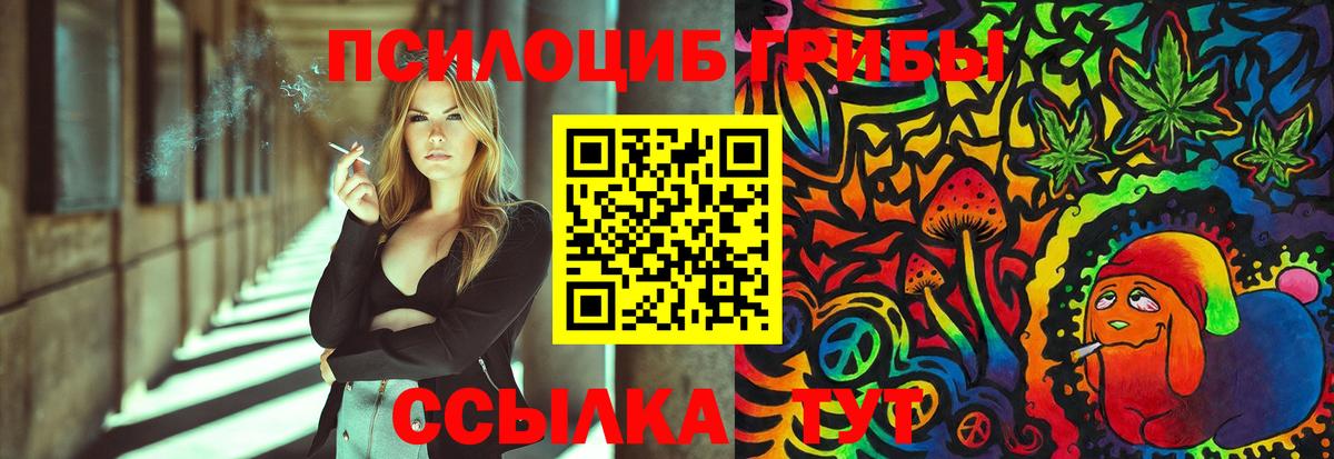 Галлюциногенные грибы Cubensis  Псилоцибиновые грибы Magic Shrooms  Вход с VPN  где купить наркоту  Екатеринбург 